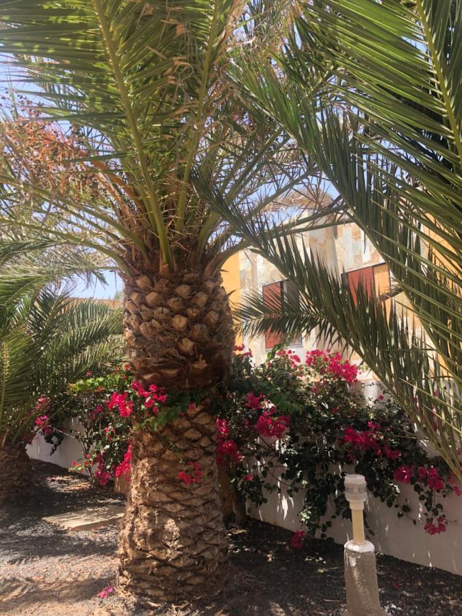 Apartamento LE SOLEIL Complex Amaya Fuerteventura Costa De Antigua Eksteriør billede
